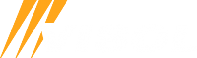 VISOL | Sports Timing